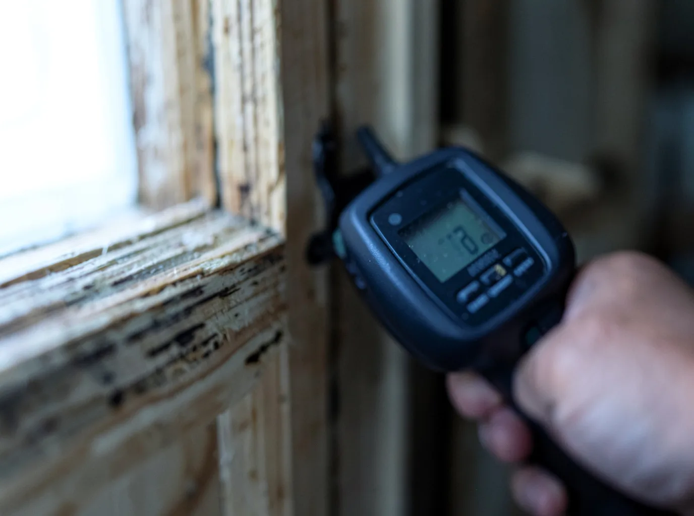 Moisture Inspection And Documentation in Leckrone, PA